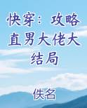 快穿:攻略直男大佬大结局小说全集