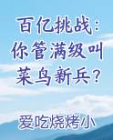 百亿挑战:你管满级叫菜鸟新兵?