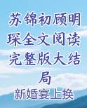 苏锦初顾明琛全文阅读完整版大结局