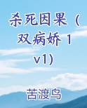杀死因果(双病娇 1v1)