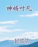 神婿叶凡全文免费阅读