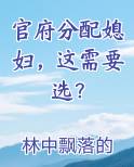 官府分配媳妇,这需要选?