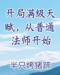 开局满级天赋,从普通法师开始