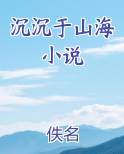 沉沉于山海小说