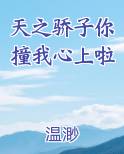 天之骄子你撞我心上啦