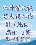 扒开淫穴被姐夫後入内射(纯肉,高H)2繁