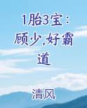 1胎3宝:顾少,好霸道