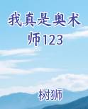 我真是奥术师123电子书