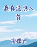 我真没想入赘