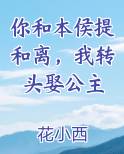 你和本侯提和离,我转头娶公主