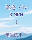 沉沦(1v3 NPH)