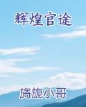 辉煌官途