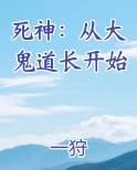 死神:从大鬼道长开始