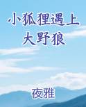 小狐狸遇上大野狼小说短剧