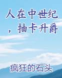 人在中世纪,抽卡升爵