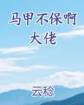 马甲不保啊大佬