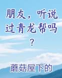 朋友,听说过青龙帮吗?