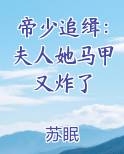 帝少追缉:夫人她马甲又炸了
