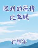迟到的深情比草贱