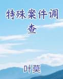 特殊案件调查