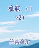 难寐 (1v2)