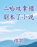 二哈攻拿错剧本了小说