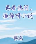 再看热闹,揍你呀小说