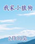 我家小狼狗