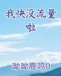 我快没流量啦