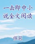 一击即中小说全文阅读