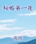 秘婚第一夜
