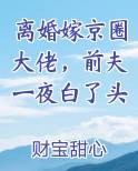 离婚嫁京圈大佬,前夫一夜白了头