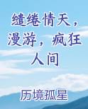 缱绻情天,漫游,疯狂人间