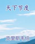 天下节度