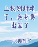 上校别封建了，妾身要出国了