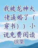 我被龙神大佬逼婚了(穿书))小说免费阅读完整版