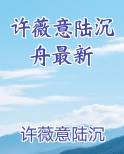 许薇意陆沉舟最新