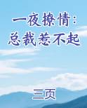 一夜撩情：总裁惹不起