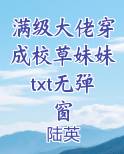满级大佬穿成校草妹妹txt无弹窗