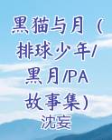 黑猫与月(排球少年/黑月/PA故事集)