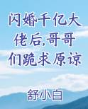 闪婚千亿大佬后,哥哥们跪求原谅