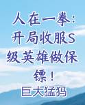 人在一拳:开局收服S级英雄做保镖!