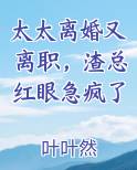 太太离婚又离职,渣总红眼急疯了