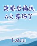 离婚后偏执A火葬场了txt