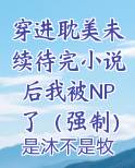 穿进耽美未续待完小说后我被NP了（强制）小说全文免费阅读