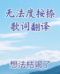 无法度按捺歌词翻译