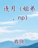 逐月（姐弟、np）