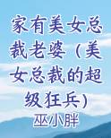 家有美女总裁老婆(美女总裁的超级狂兵)