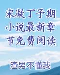 宋凝丁予期小说最新章节免费阅读