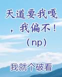 天道要我嘎,我偏不!(np)